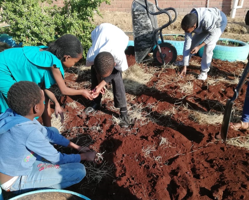 Roots & Shoots kids working in food garden