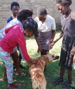 Diepsloot Greening club learning how to interact with dogs